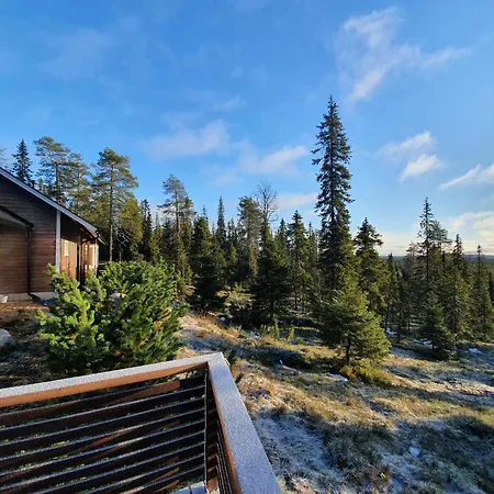 Hietavilla Borealis - Hot Tube - Sauna - Fireplace - 11kw Ev-refuel - Landscape View - Silence - Free Wifi Hébergement de vacances