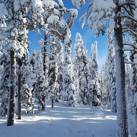 Hietavilla Borealis - Hot Tube - Sauna - Fireplace - 11kw Ev-refuel - Landscape View - Silence - Free Wifi Ruka