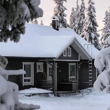 Hietavilla Borealis - Hot Tube - Sauna - Ac - Fireplace - 11kw Ev-refuel - Landscape View - Silence - Free Wifi