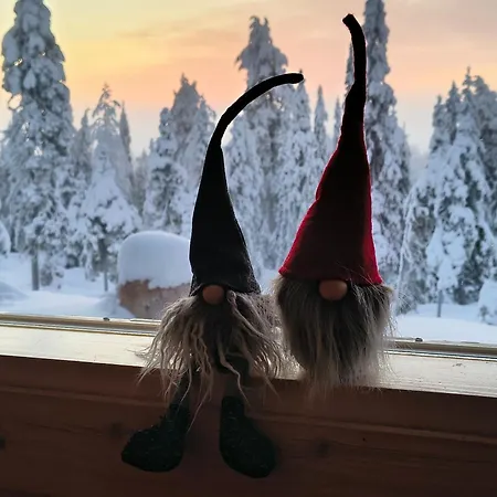 度假居 Hietavilla Borealis - Hot Tube - Sauna - Fireplace - 11kw Ev-refuel - Landscape View - Silence - Free Wifi