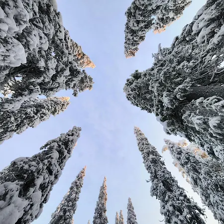 Hietavilla Borealis - Hot Tube - Sauna - Fireplace - 11kw Ev-refuel - Landscape View - Silence - Free Wifi 度假居