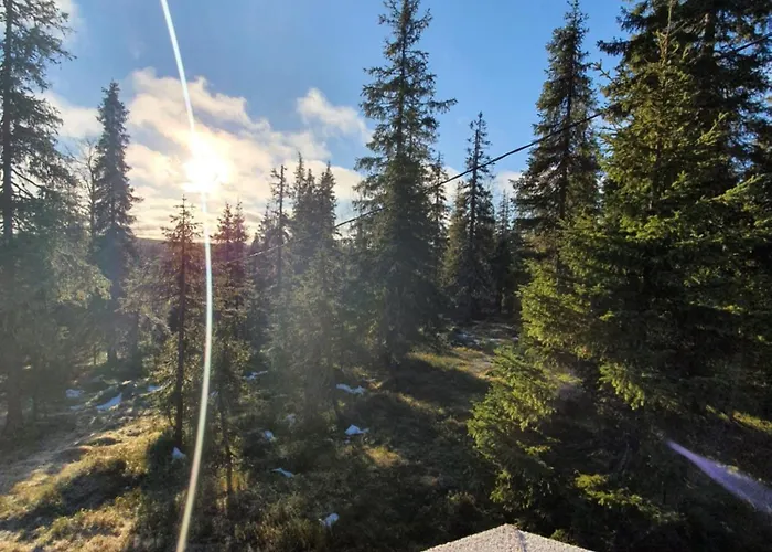 度假居 Hietavilla Borealis - Hot Tube - Sauna - Fireplace - 11kw Ev-refuel - Landscape View - Silence - Free Wifi 鲁卡