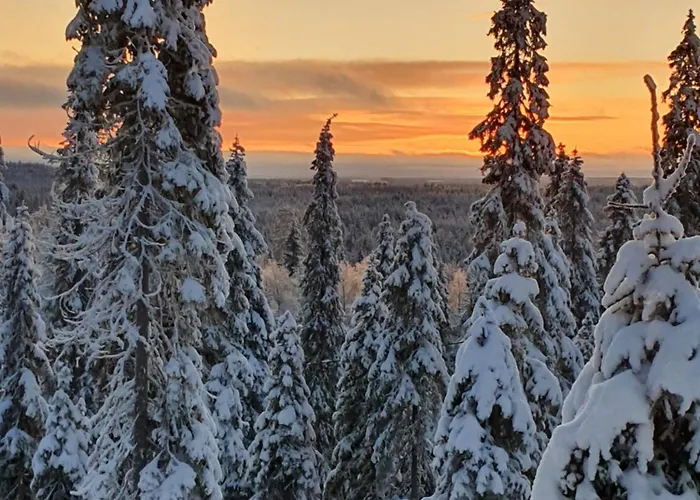 Hietavilla Borealis - Hot Tube - Sauna - Fireplace - 11kw Ev-refuel - Landscape View - Silence - Free Wifi *