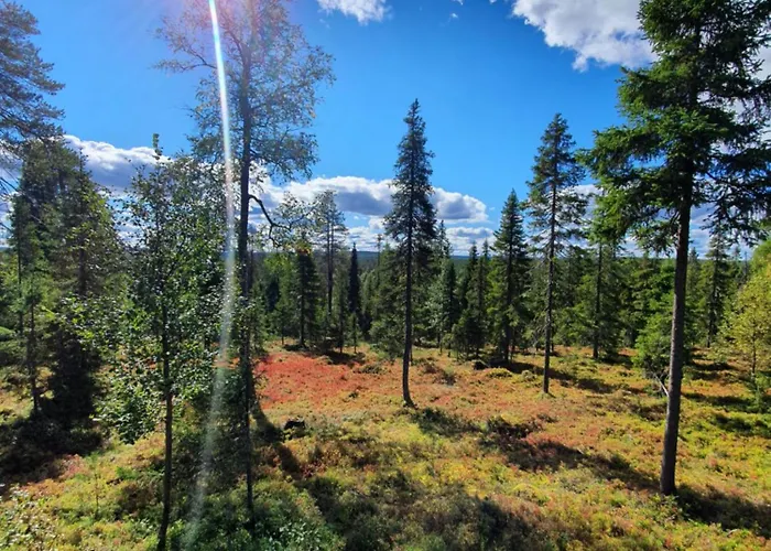 Hietavilla Borealis - Hot Tube - Sauna - Fireplace - 11kw Ev-refuel - Landscape View - Silence - Free Wifi 度假居 鲁卡