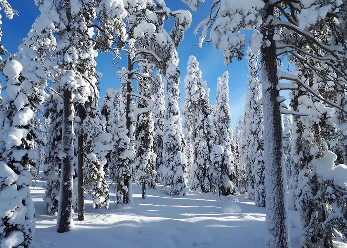 Hietavilla Borealis - Hot Tube - Sauna - Fireplace - 11kw Ev-refuel - Landscape View - Silence - Free Wifi 루카