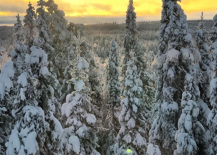 펜션 Hietavilla Borealis - Hot Tube - Sauna - Fireplace - 11kw Ev-refuel - Landscape View - Silence - Free Wifi 루카