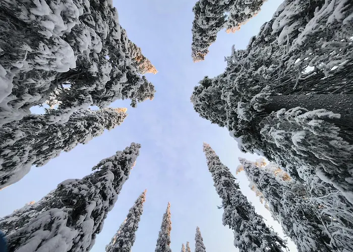 Hietavilla Borealis - Hot Tube - Sauna - Fireplace - 11kw Ev-refuel - Landscape View - Silence - Free Wifi 펜션