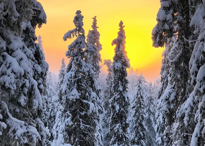 펜션 Hietavilla Borealis - Hot Tube - Sauna - Fireplace - 11kw Ev-refuel - Landscape View - Silence - Free Wifi 루카